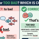 To Bad or Too Bad? Correct Grammar Explained