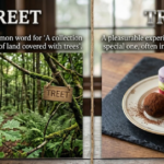 Treet vs Treat: What’s the Correct Spelling?
