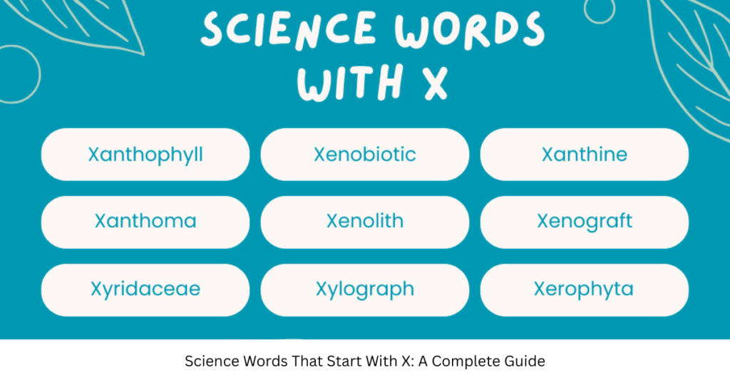 Science Words That Start With X: A Complete Guide