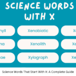 Science Words That Start With X: A Complete Guide