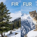 Fir vs Fur: Meaning, Difference, and Correct Usage